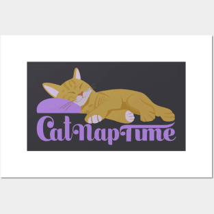 Cat nap time Posters and Art